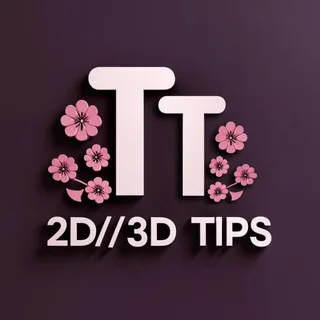tt2d3dtips12