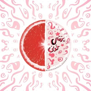 ‹پُرتقال‌‌خونی🍊›