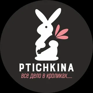 Ptichkina_alisa_larek