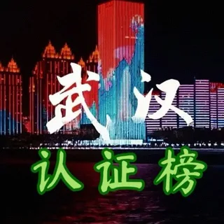 武汉出击榜(先锋)