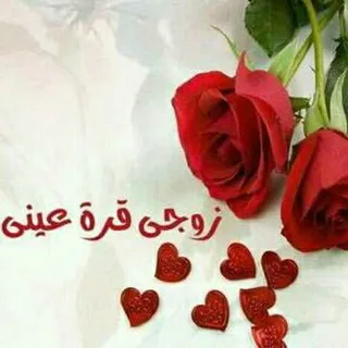 @ribad