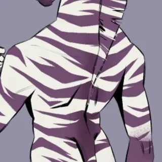 @zebrascooleststripe