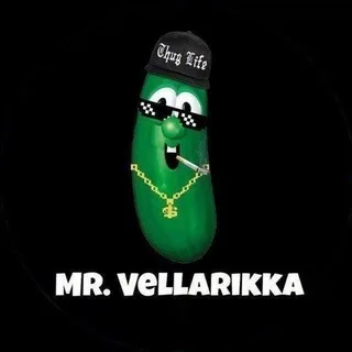 @mrvellarikka01
