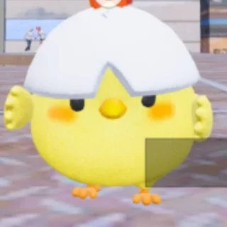 @shibaojibus