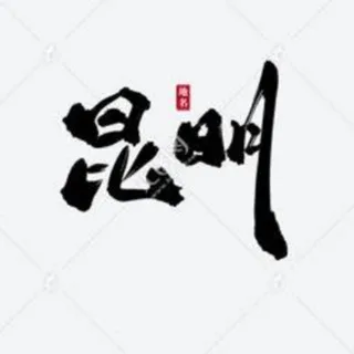 昆明极品公开