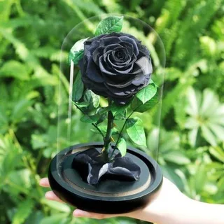 La Rose noir ๐น