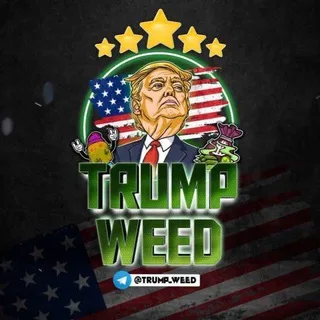 trumpweed420