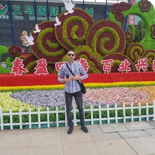 @n01228933206