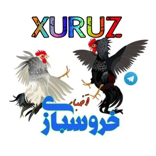 آرشیو اخبار خروسبازی ایران و جهان 🇮🇷