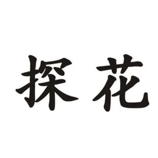 广州探花大队资源榜