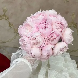 @saniiirs