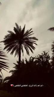 @txtxrc