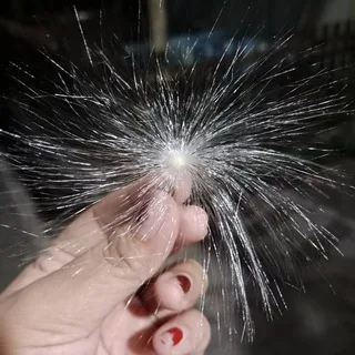 @dandelionskingdom