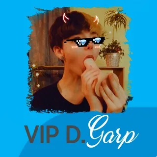 @garpvipinfo