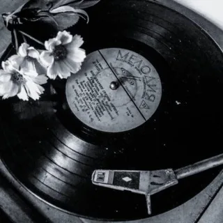 ستوريات 🌿 رمزيات 🎬 اغاني 🎻 اقتباسات🕊