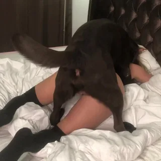 @veronicasilestoo