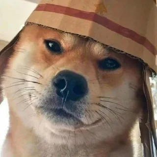 逃生主频道(公益)