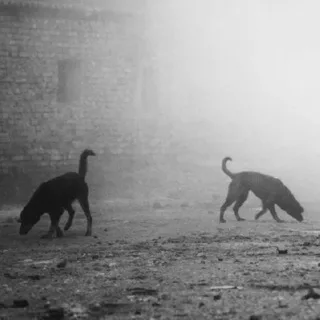 泉州学生上门