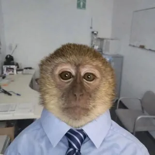 Жопа 🫵🏿