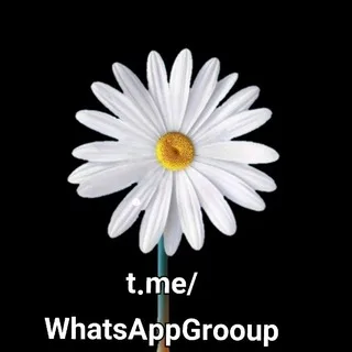 قناة نشر روابط مجموعات واتساب قناه روابط قروبات واتساب سعودية واتساب واتس وتس وتسب وتساب وات سب وتس أب روبط وتسب
