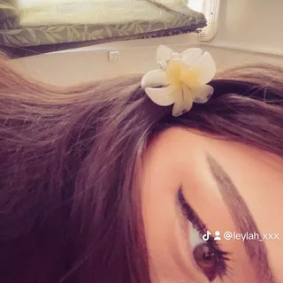 @haysaaka