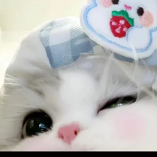 @muaene1