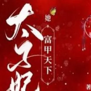 深圳太子妃资源榜