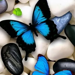@zcvbnnm13345