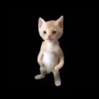 Истории про секс🔞