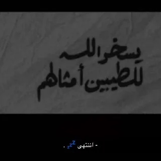 @zzn_0