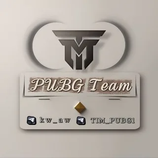 @tim_pubg1