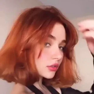 @sheb527