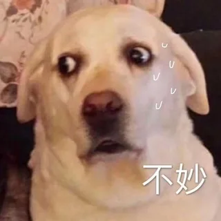 ๐ฅ็งๅฏ่ฑๅญ๐ๅฎๆน้ข้